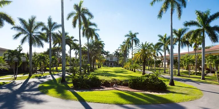 Barry University