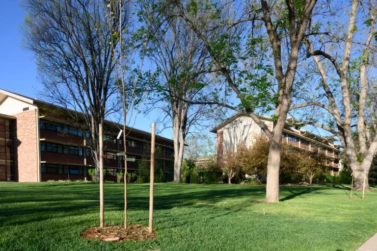Colorado State University-Fort Collins