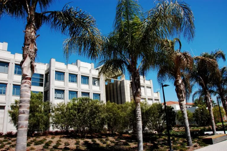 Loyola Marymount University