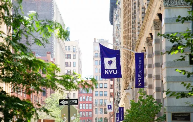 New York University