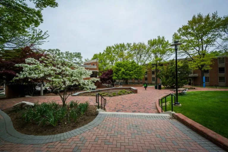 Towson University