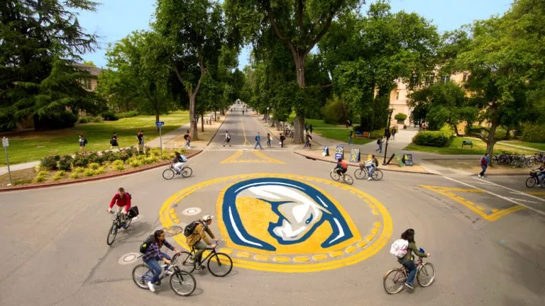 University of California-Davis